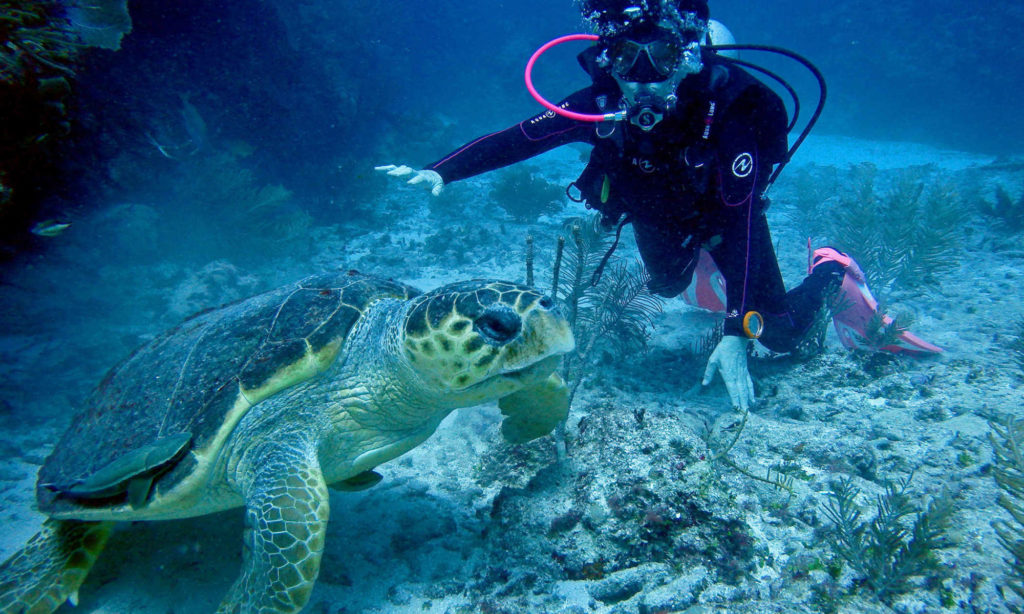 Snorkel Hol-Chan, Shark Ray Alley, Trip to Secret Beach - Belize ...